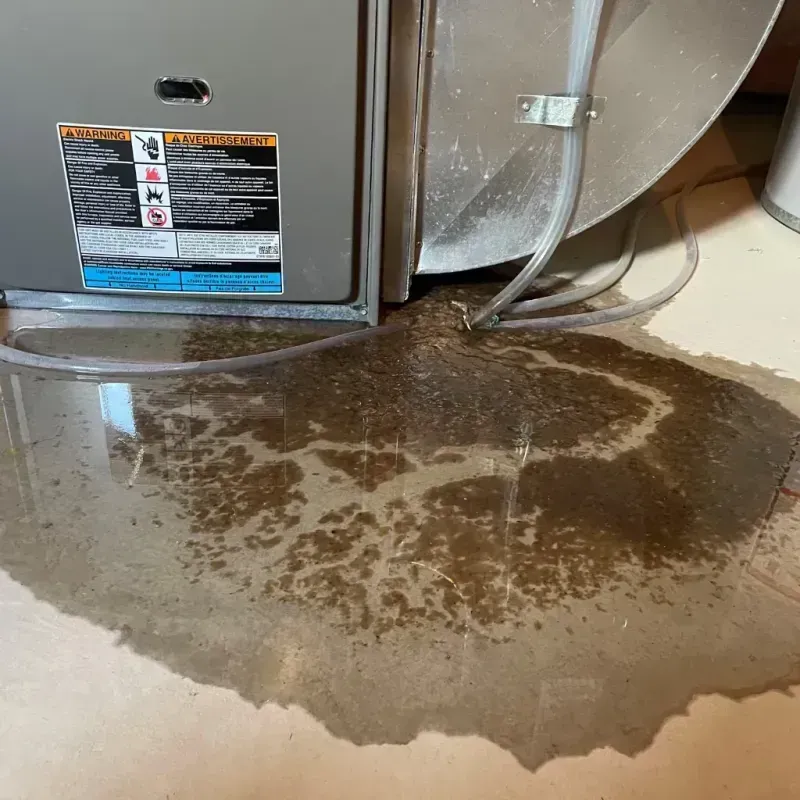 Appliance Leak Cleanup in Fairbanks Ranch, CA